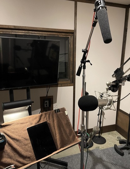 Voiceover and ADR recording.